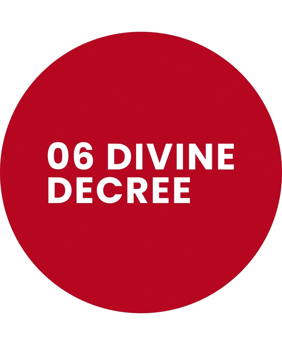Stars from the stars WRITTEN IN THE STARS konturówka do ust 06 Divine decree 0,3 g