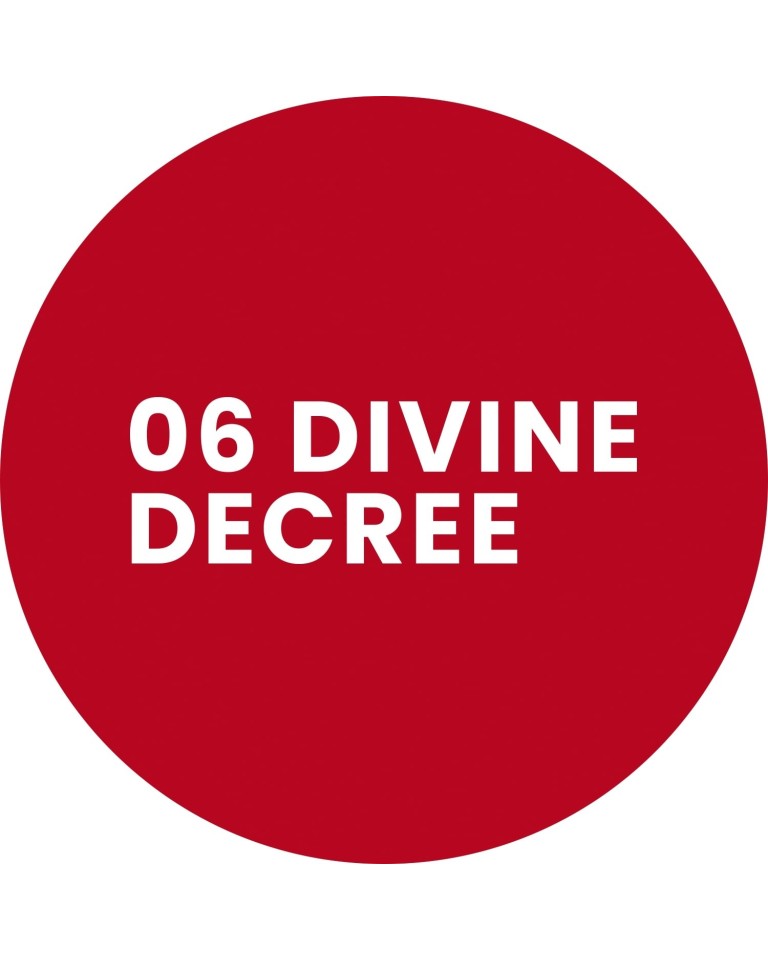 Stars from the stars WRITTEN IN THE STARS konturówka do ust 06 Divine decree 0,3 g