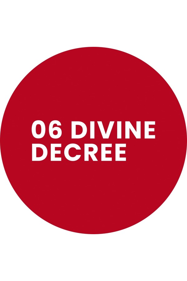 Stars from the stars WRITTEN IN THE STARS konturówka do ust 06 Divine decree 0,3 g