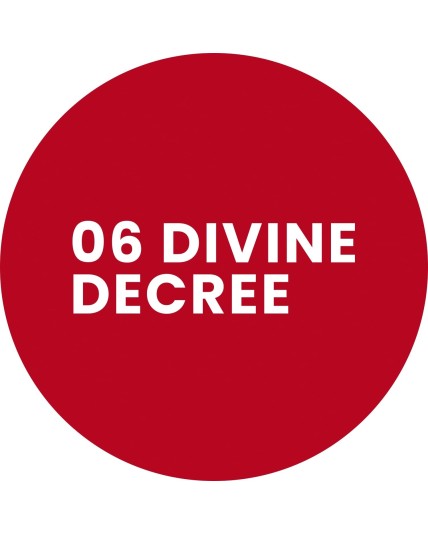 Stars from the stars WRITTEN IN THE STARS konturówka do ust 06 Divine decree 0,3 g