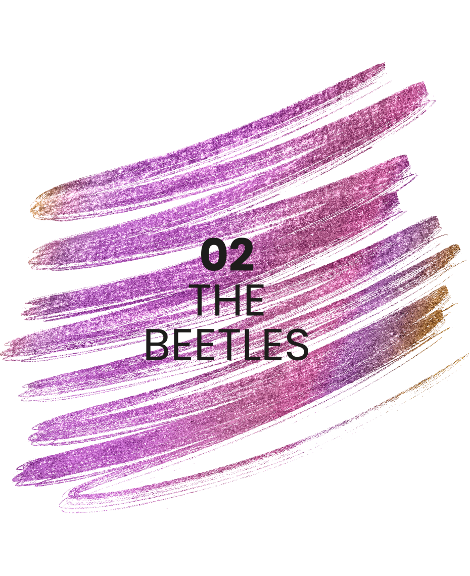 Stars from the stars STAR TRAIL holograficzna kredka do oczu 02 The Beetles 0,11 g