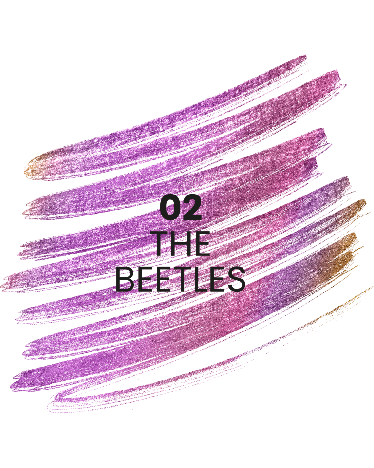 Stars from the stars STAR TRAIL holograficzna kredka do oczu 02 The Beetles 0,11 g
