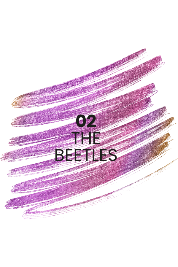 Stars from the stars STAR TRAIL holograficzna kredka do oczu 02 The Beetles 0,11 g