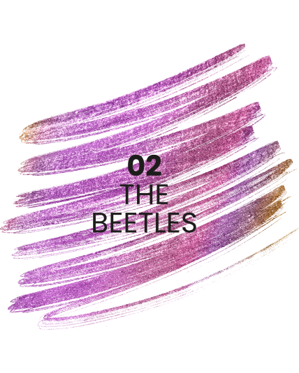 Stars from the stars STAR TRAIL holograficzna kredka do oczu 02 The Beetles 0,11 g