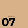 07 warm tan
