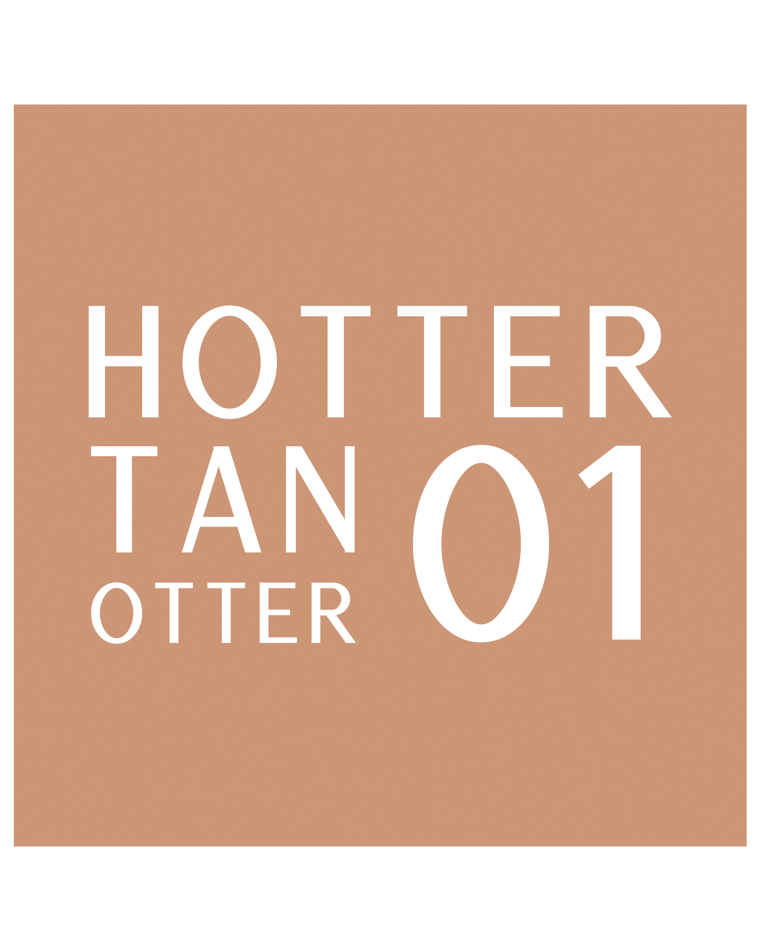 Stars from the stars OTTERNITY multifunkcyjny mixer do podkładu 01 Hotter tan otter, 20 g