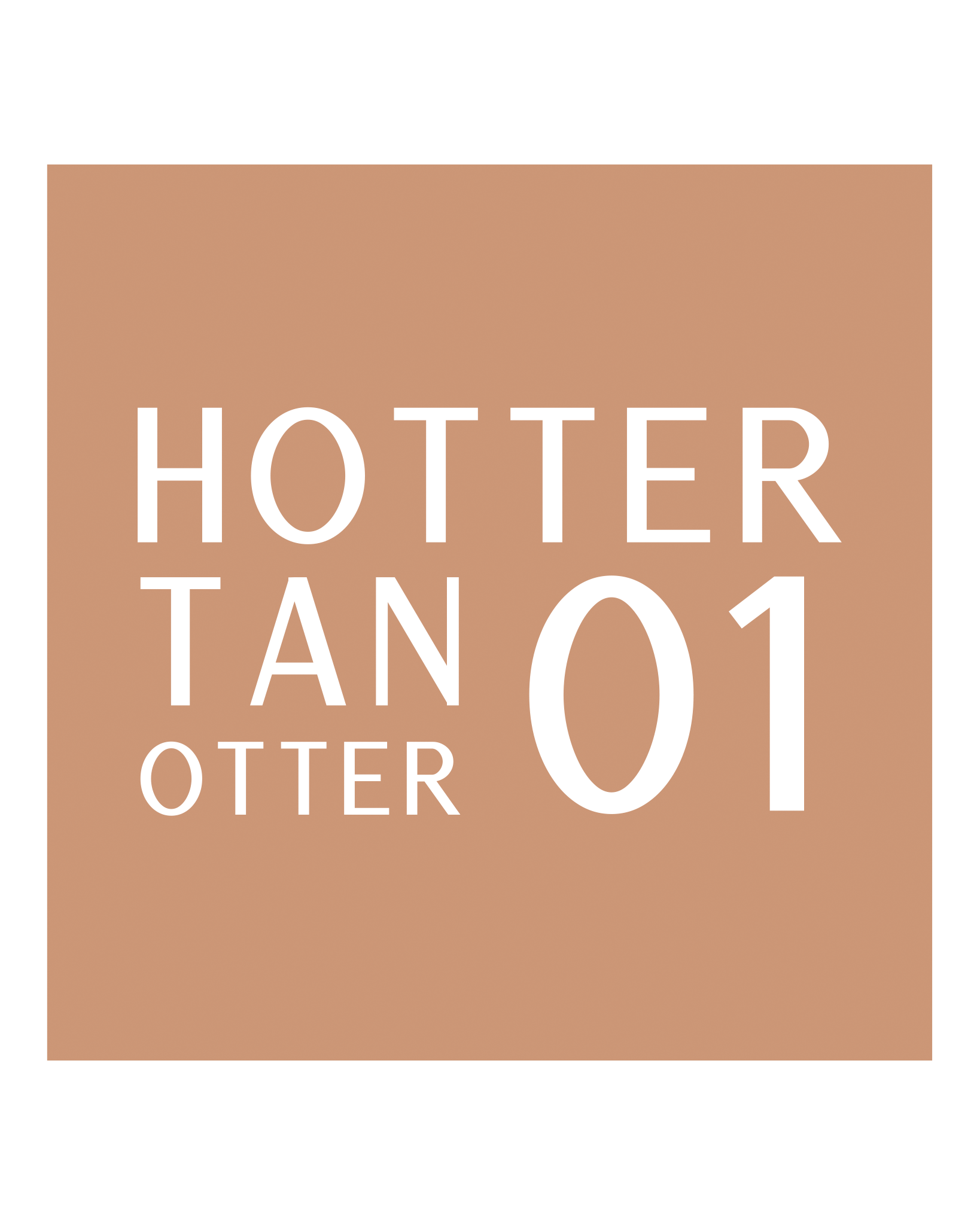 Stars from the stars OTTERNITY multifunkcyjny mixer do podkładu 01 Hotter tan otter, 20 g