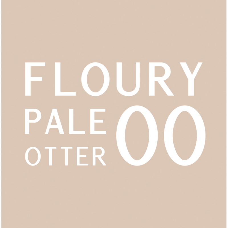 Stars from the stars OTTERNITY multifunkcyjny mixer do podkładu 00 Floury pale otter, 20 g