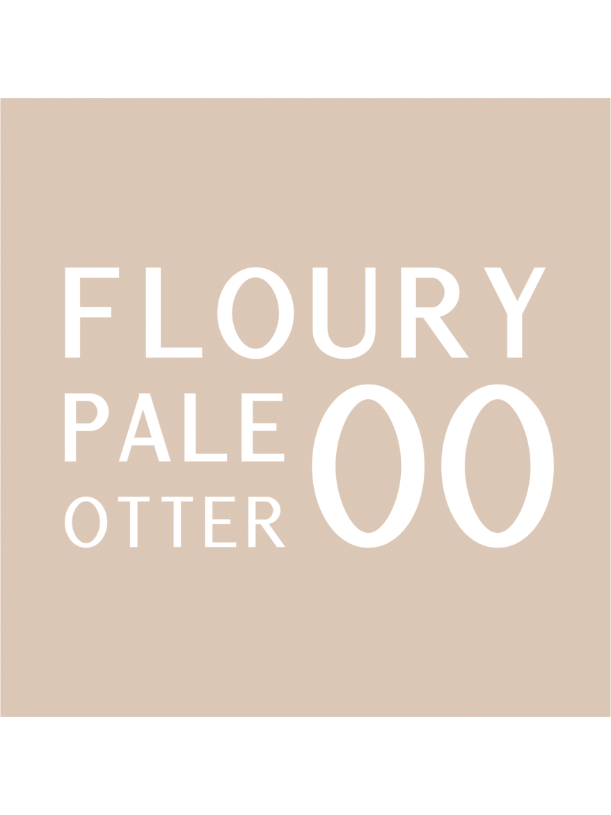 Stars from the stars OTTERNITY multifunkcyjny mixer do podkładu 00 Floury pale otter, 20 g