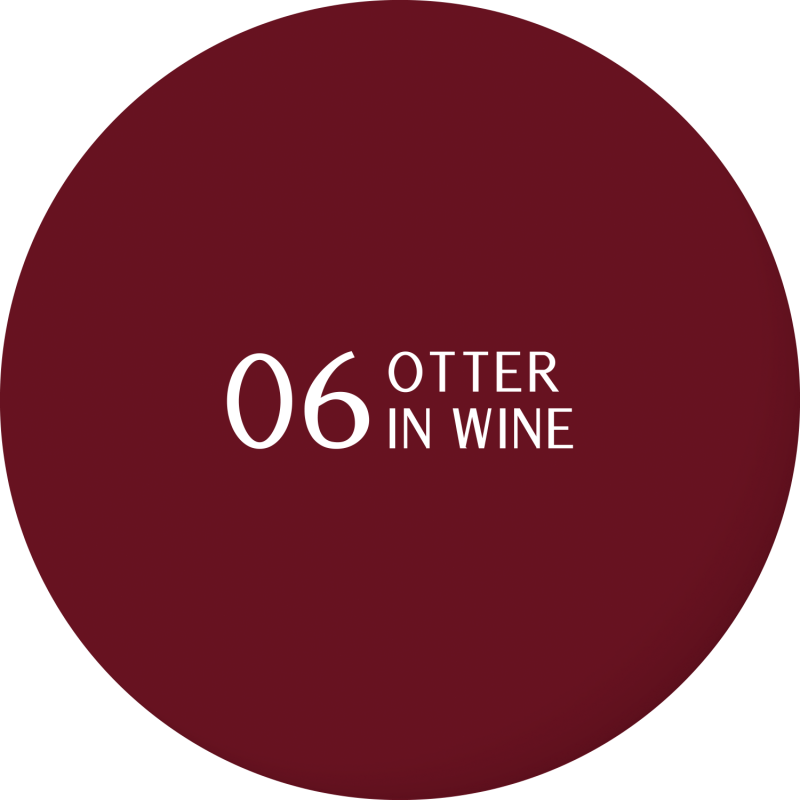 Stars OTTERNITY Hybrydowy lakier do paznokci 06 Otter In Wine, 5g