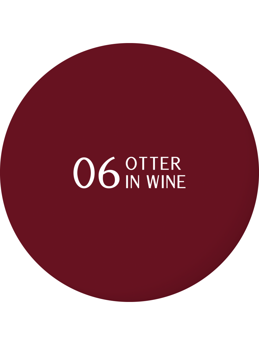 Stars OTTERNITY Hybrydowy lakier do paznokci 06 Otter In Wine, 5g