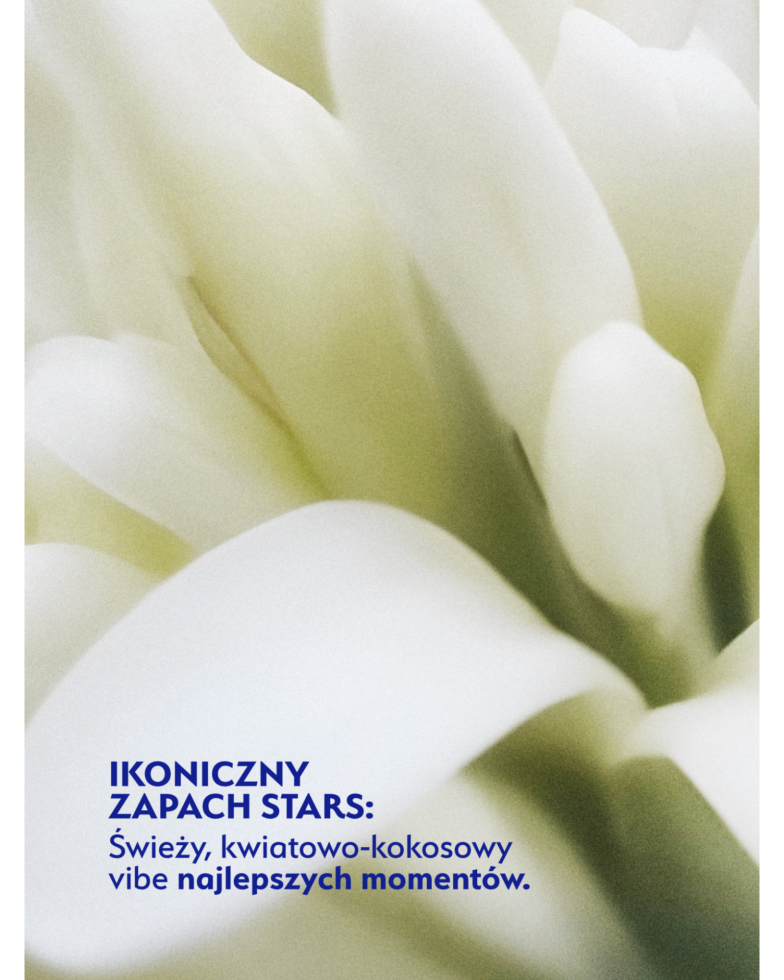 Stars termomodelujący koktajl unoszący włosy od nasady BIG&SEXY, 200ml