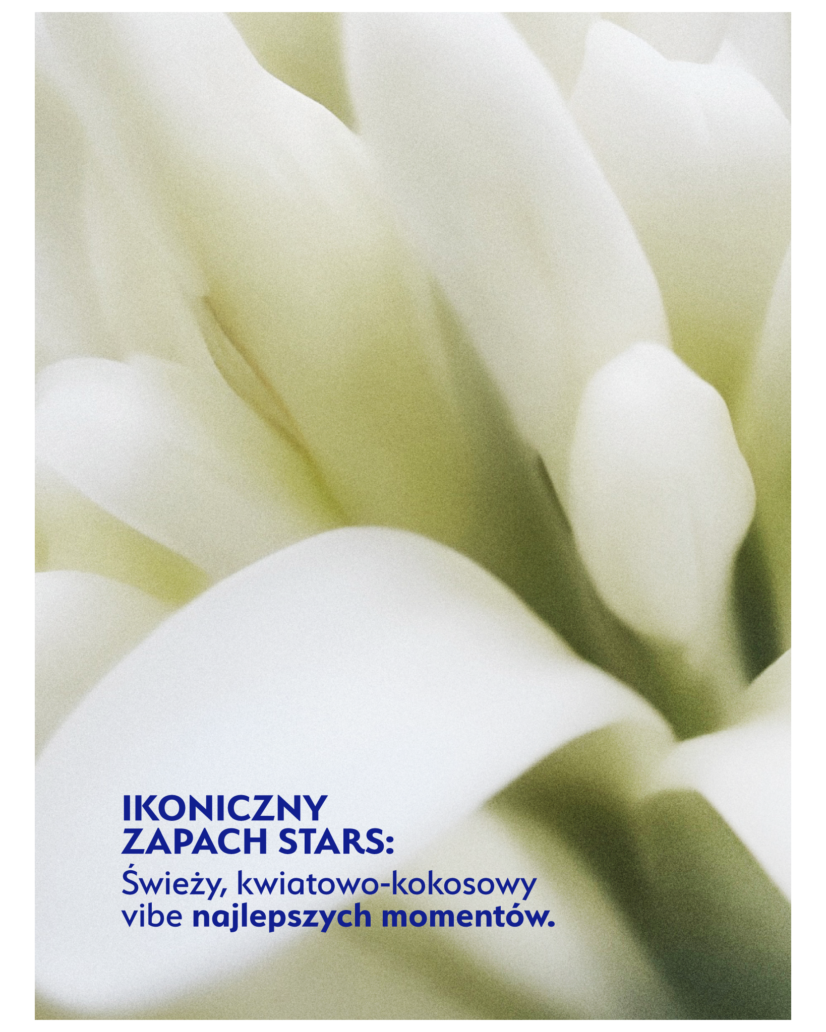 Szampon nawilżająco-wygładzający GLOSS BOSS 300 ml