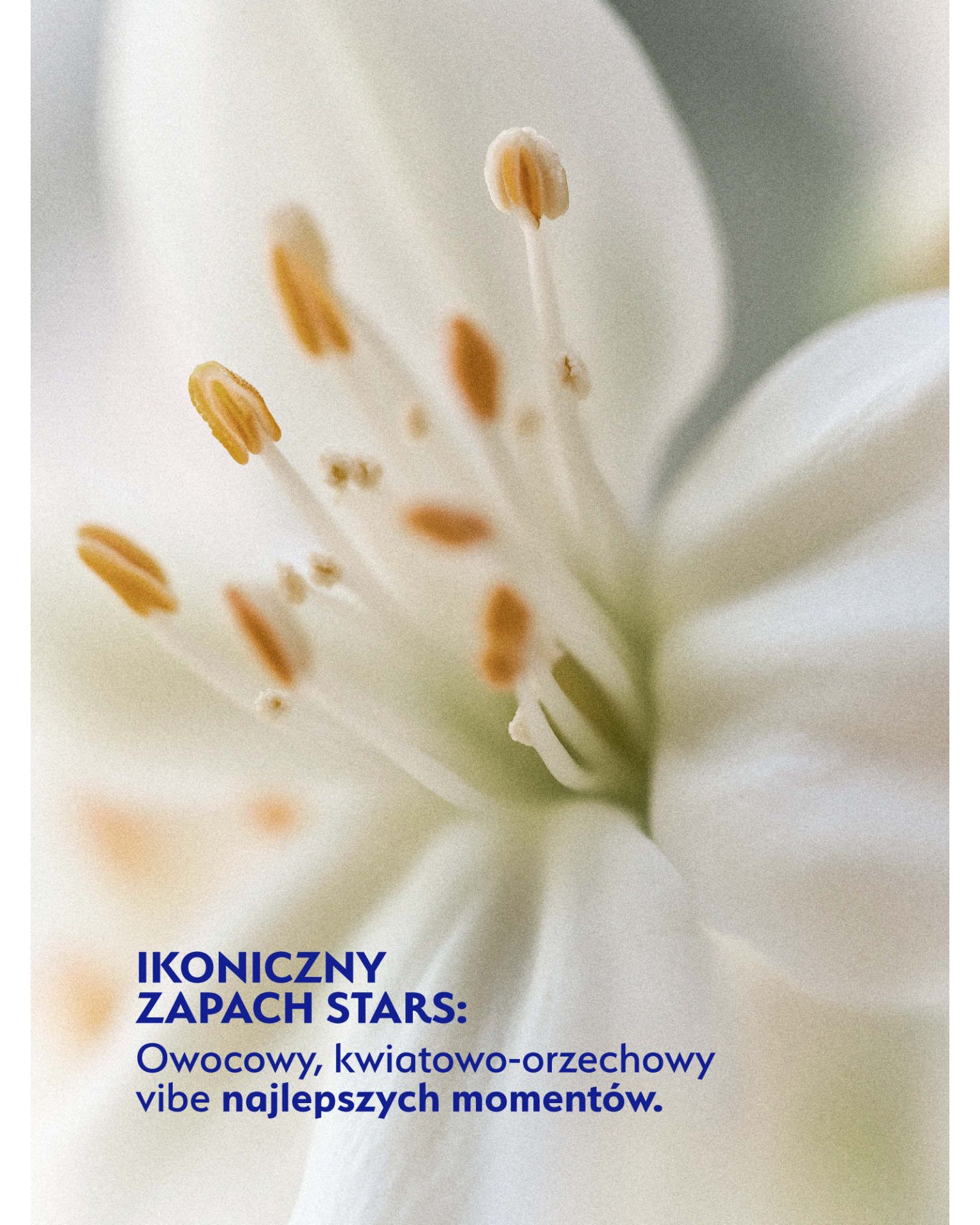 Stars Szampon regenerująco-wzmacniający BOND-AID 300 ml