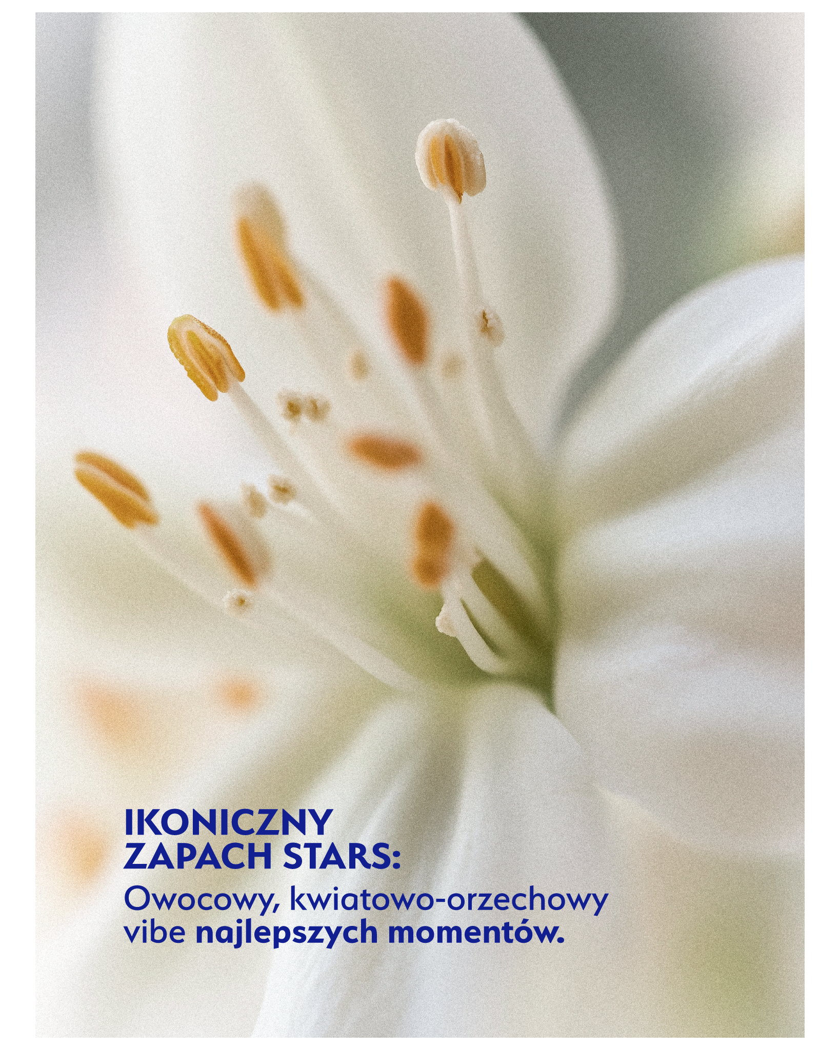 Stars Szampon regenerująco-wzmacniający BOND-AID 300 ml