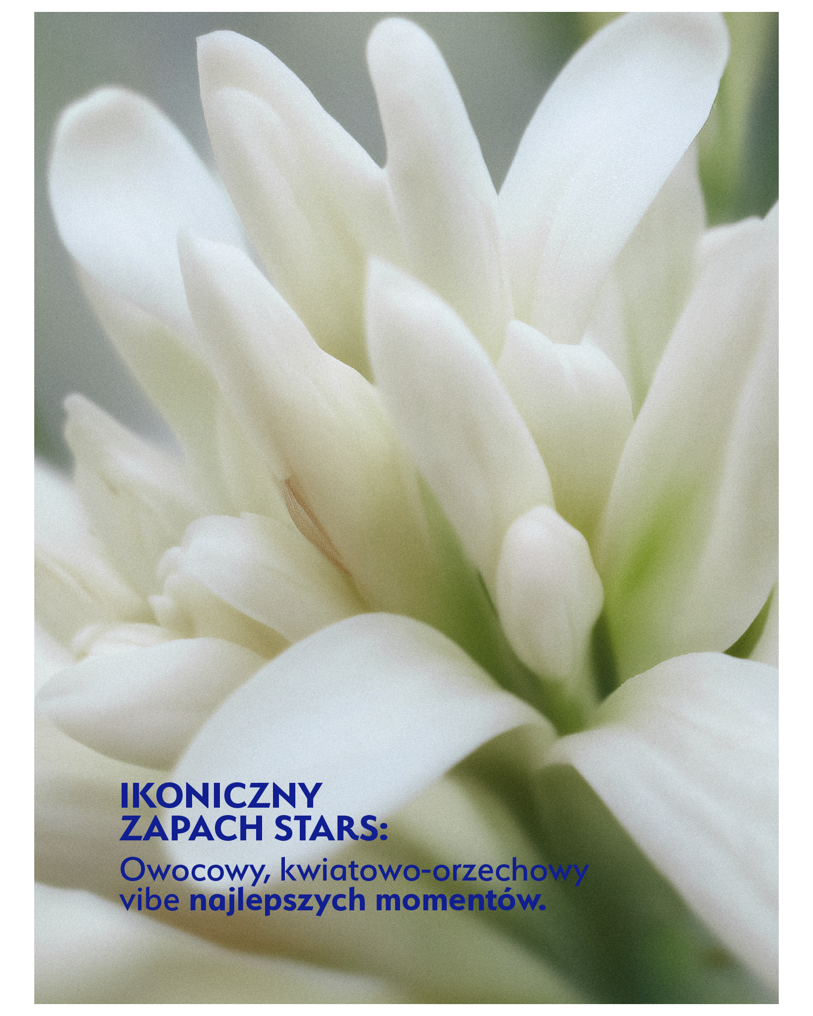 Stars Cement termiczny HOT LOCK 150 ml